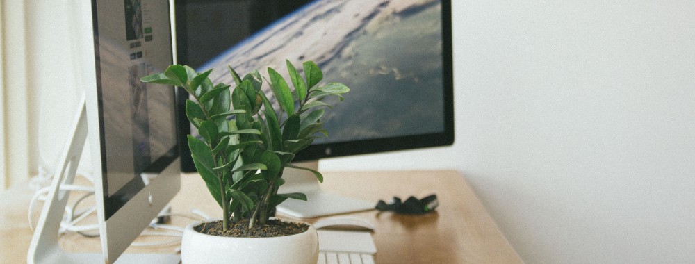 How to Screen Record on Mac